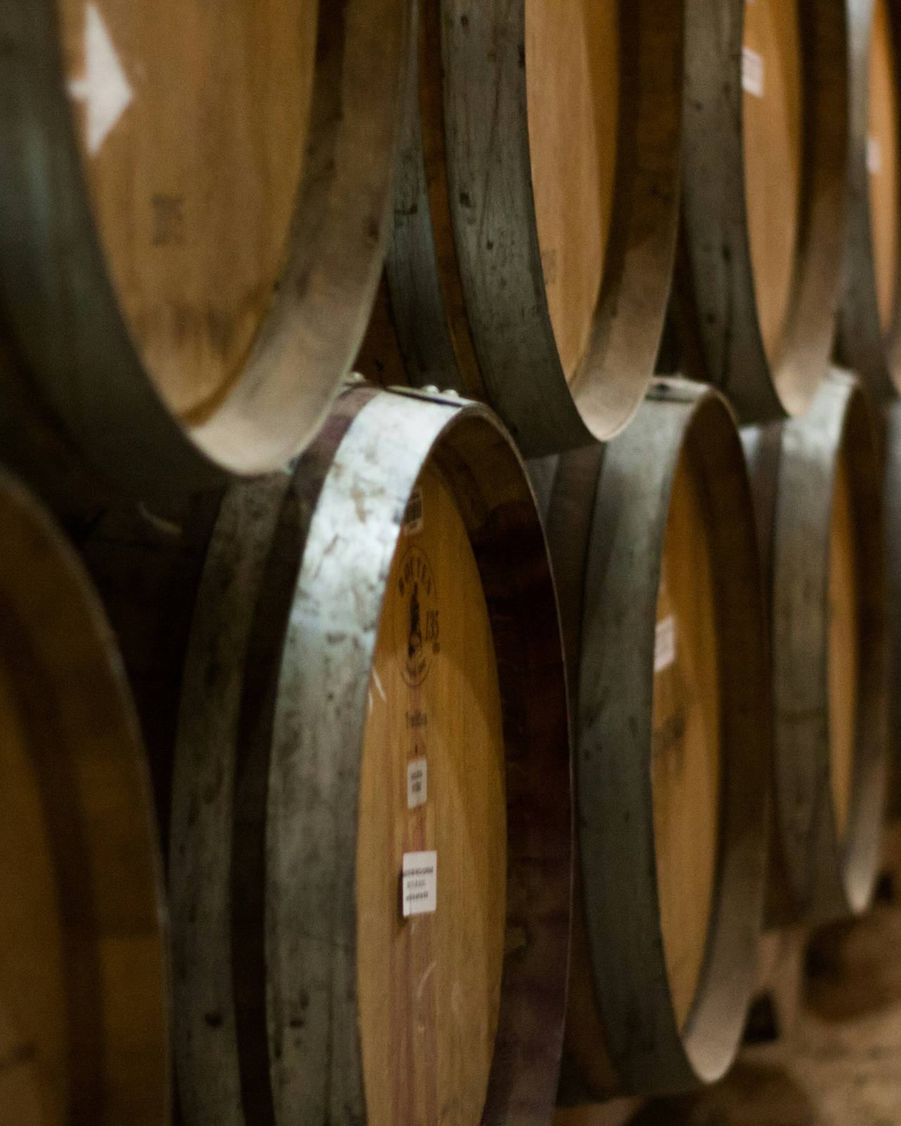 Fûts de chêne dans le chai du domaine pendant l'élevage des vins