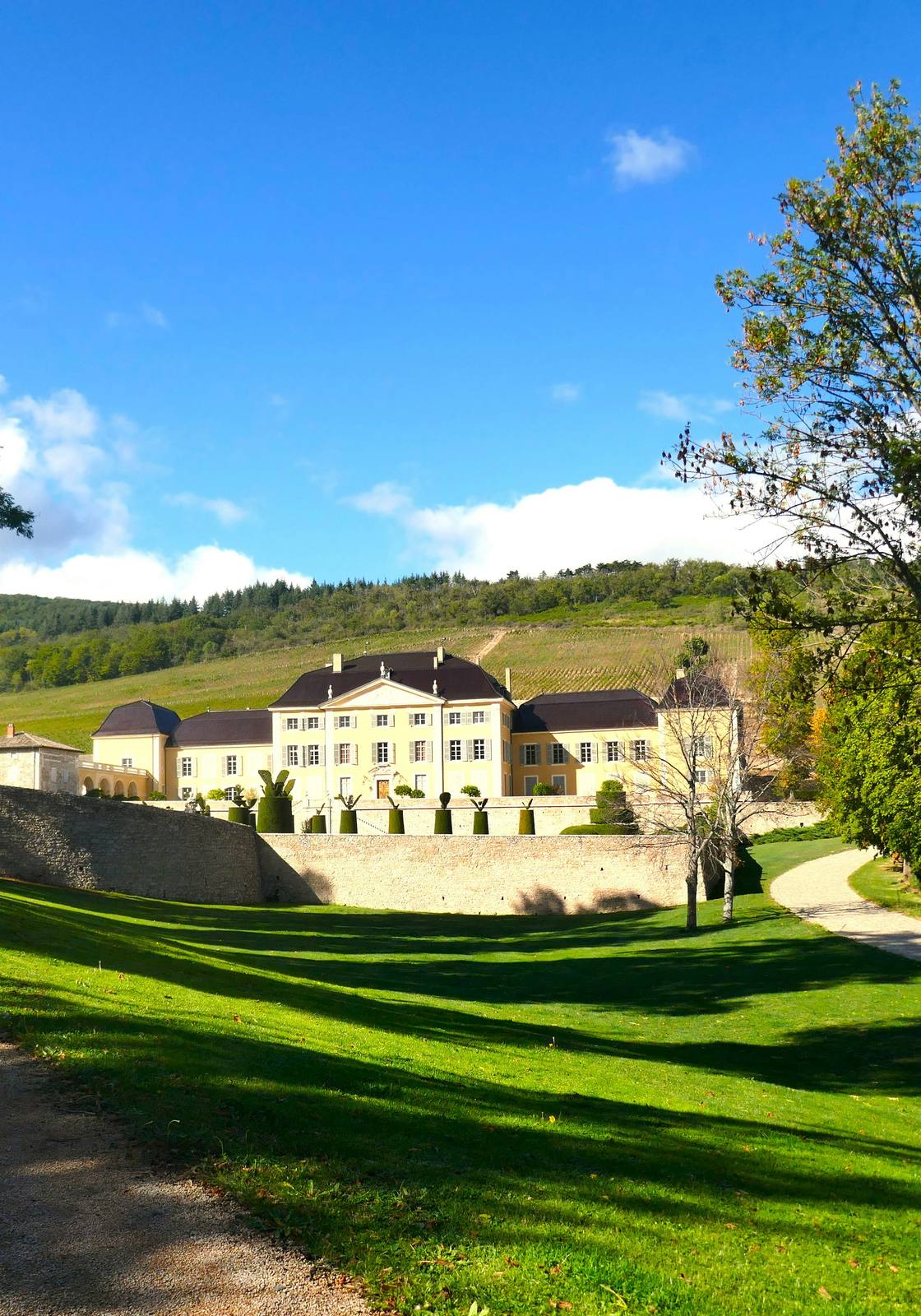 Le Château des Labourons dans son parc, sur les hauteurs de Fleurie